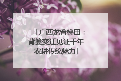 广西龙脊梯田：背篓变迁见证千年农耕传统魅力