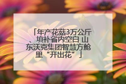 年产花菇3万公斤、填补省内空白 山东沃克集团智慧方舱里“开出花”