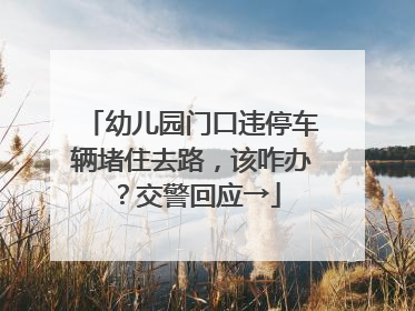 幼儿园门口违停车辆堵住去路，该咋办？交警回应→