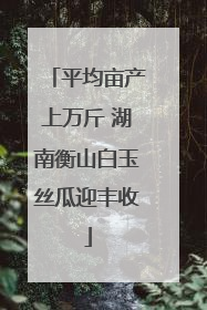 平均亩产上万斤 湖南衡山白玉丝瓜迎丰收