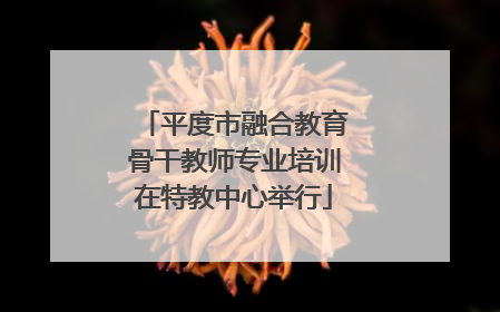 平度市融合教育骨干教师专业培训在特教中心举行