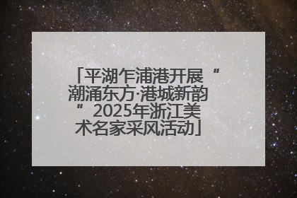 平湖乍浦港开展“潮涌东方·港城新韵”2025年浙江美术名家采风活动