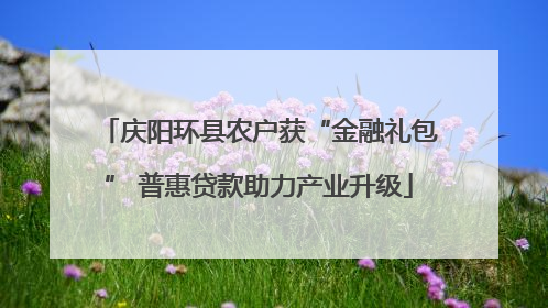 庆阳环县农户获“金融礼包” 普惠贷款助力产业升级