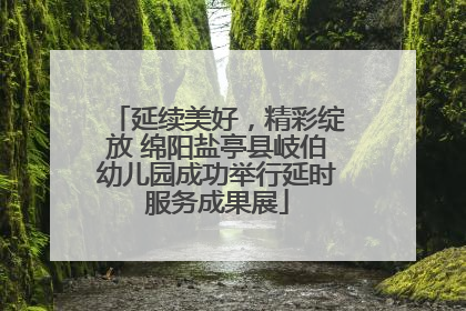 延续美好，精彩绽放 绵阳盐亭县岐伯幼儿园成功举行延时服务成果展