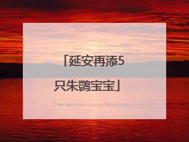 延安再添5只朱鹮宝宝