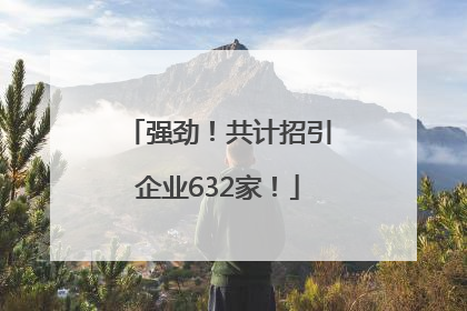 强劲！共计招引企业632家！