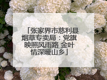 张家界市慈利县烟草专卖局：党旗映照风雨路 金叶情深暖山乡