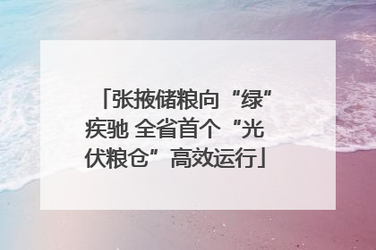 张掖储粮向“绿”疾驰 全省首个“光伏粮仓”高效运行