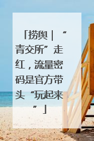 捞舆｜“青交所”走红，流量密码是官方带头“玩起来”
