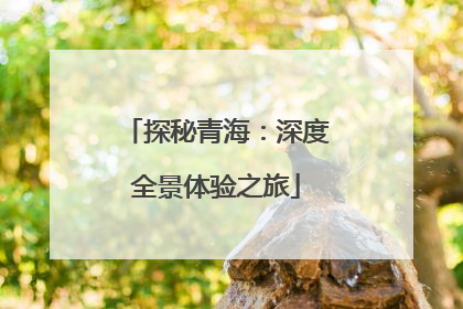 探秘青海：深度全景体验之旅