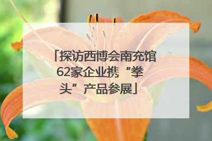 探访西博会南充馆 62家企业携“拳头”产品参展