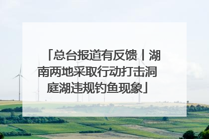 总台报道有反馈丨湖南两地采取行动打击洞庭湖违规钓鱼现象