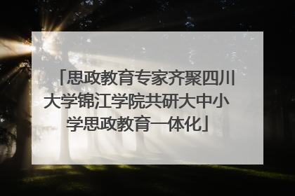 思政教育专家齐聚四川大学锦江学院共研大中小学思政教育一体化