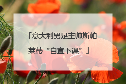 意大利男足主帅斯帕莱蒂“自宣下课”
