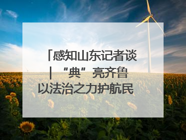 感知山东记者谈｜“典”亮齐鲁 以法治之力护航民生与营商环境