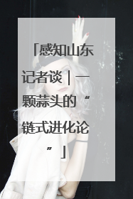 感知山东记者谈｜一颗蒜头的“链式进化论”