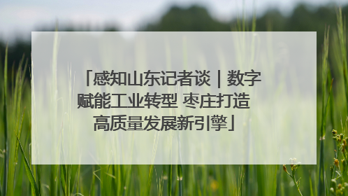 感知山东记者谈｜数字赋能工业转型 枣庄打造高质量发展新引擎