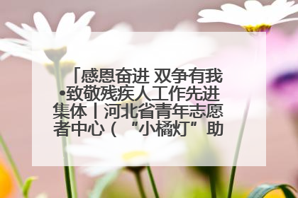 感恩奋进 双争有我•致敬残疾人工作先进集体丨河北省青年志愿者中心（“小橘灯”助残接力计划实施团队）：用温暖陪伴，守护特殊孩子成长