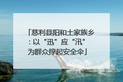 慈利县阳和土家族乡：以“迅”应“汛” 为群众撑起安全伞