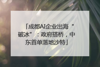 成都AI企业出海“破冰”：政府搭桥，中东首单落地沙特