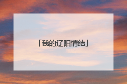我的辽阳情结
