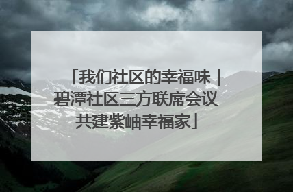我们社区的幸福味｜碧潭社区三方联席会议共建紫岫幸福家