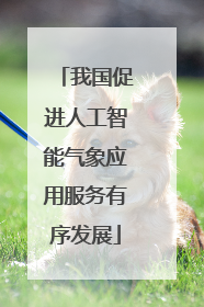 我国促进人工智能气象应用服务有序发展