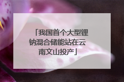 我国首个大型锂钠混合储能站在云南文山投产