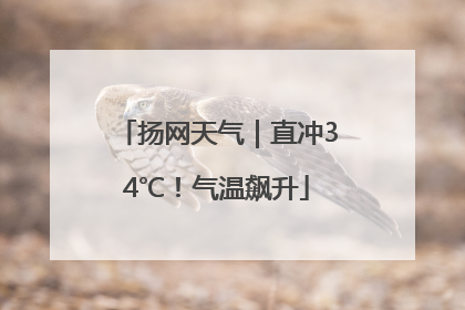 扬网天气｜直冲34℃！气温飙升