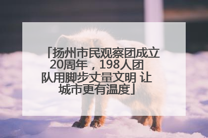 扬州市民观察团成立20周年，198人团队用脚步丈量文明 让城市更有温度