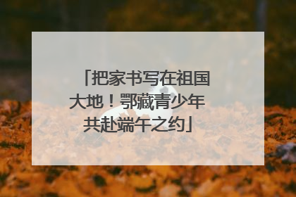 把家书写在祖国大地！鄂藏青少年共赴端午之约