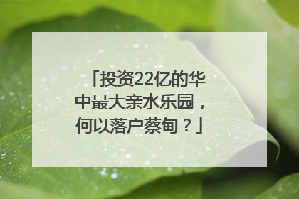 投资22亿的华中最大亲水乐园，何以落户蔡甸？
