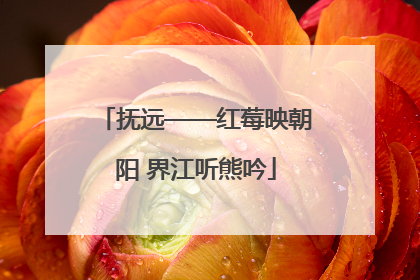 抚远——红莓映朝阳 界江听熊吟
