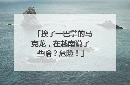 挨了一巴掌的马克龙，在越南说了些啥？危险！