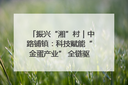 振兴“湘”村｜中路铺镇：科技赋能“金蛋产业” 全链驱动乡村振兴