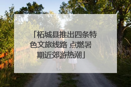 柘城县推出四条特色文旅线路 点燃暑期近郊游热潮