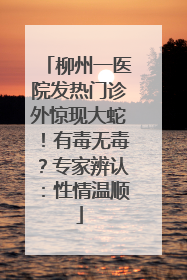 柳州一医院发热门诊外惊现大蛇！有毒无毒？专家辨认：性情温顺