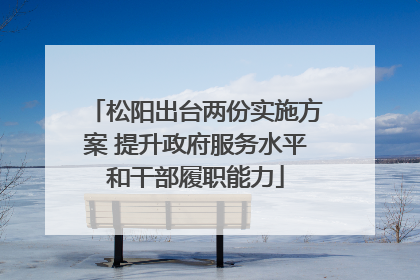 松阳出台两份实施方案 提升政府服务水平和干部履职能力