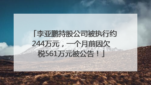 李亚鹏持股公司被执行约244万元，一个月前因欠税561万元被公告！