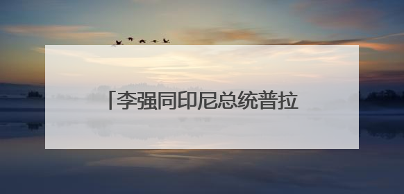 李强同印尼总统普拉博沃共同出席中国－印尼工商界晚宴并致辞