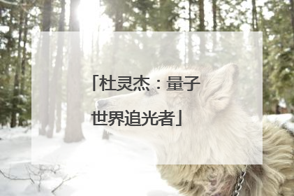 杜灵杰：量子世界追光者