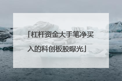 杠杆资金大手笔净买入的科创板股曝光