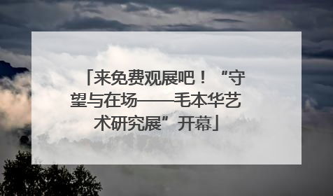 来免费观展吧！“守望与在场——毛本华艺术研究展”开幕