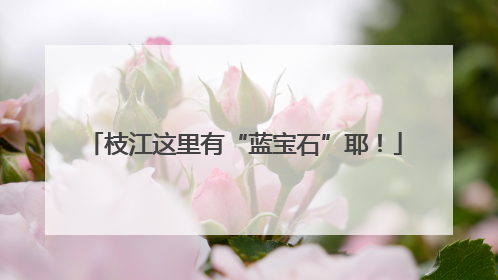 枝江这里有“蓝宝石”耶！