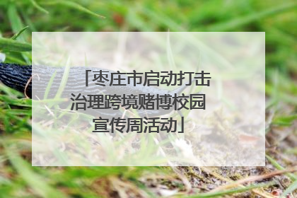 枣庄市启动打击治理跨境赌博校园宣传周活动