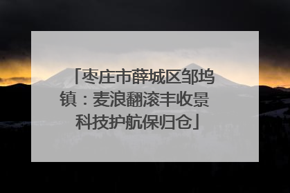 枣庄市薛城区邹坞镇：麦浪翻滚丰收景 科技护航保归仓