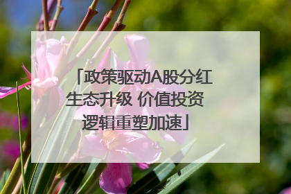 政策驱动A股分红生态升级 价值投资逻辑重塑加速