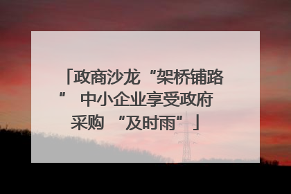 政商沙龙“架桥铺路” 中小企业享受政府采购 “及时雨”