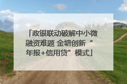 政银联动破解中小微融资难题 金塘创新“年报+信用贷”模式