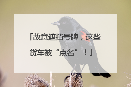 故意遮挡号牌，这些货车被“点名”！